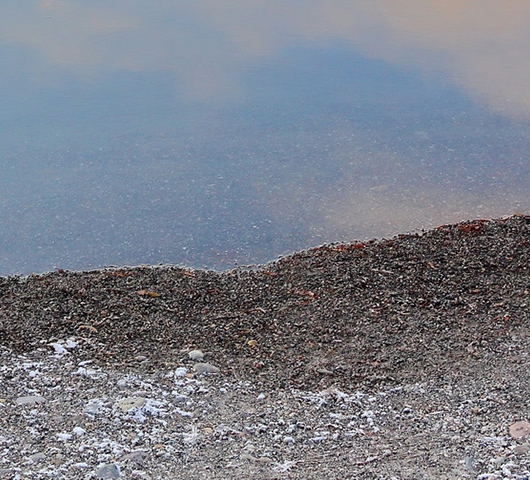 淘客评价粉是什么情况