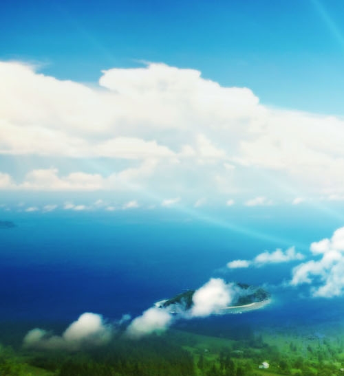 粉象生活是哪个公司开发的