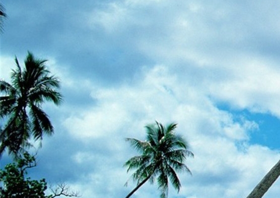 新西兰的老人如何生活