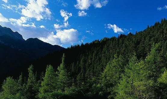 淘宝授权粉象生活怎么取消