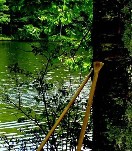 粉象生活下载app