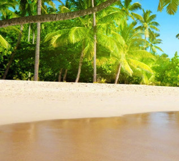 粉象生活怎么找优惠券