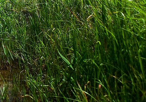 粉象生活邀请码