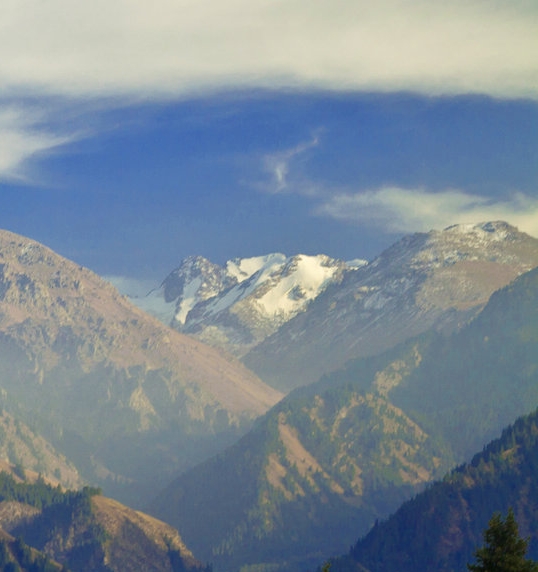 粉象生活拆红包是真的吗