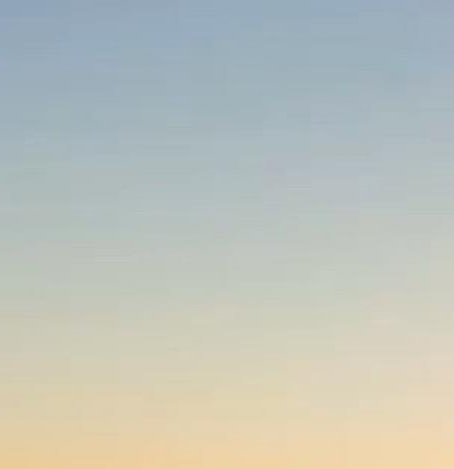 粉象生活砍价是真的吗