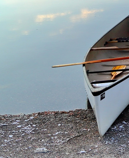 粉象生活怎样吸粉