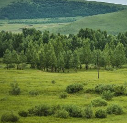 粉象生活怎么推广赚钱