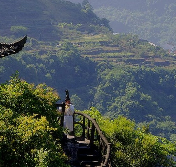 粉象生活平台上线没有