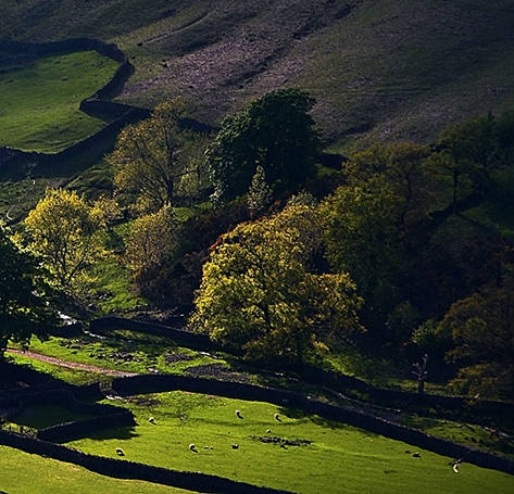 杭州粉象生活好不好