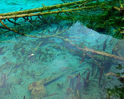 粉象生活淘宝上的靠谱吗