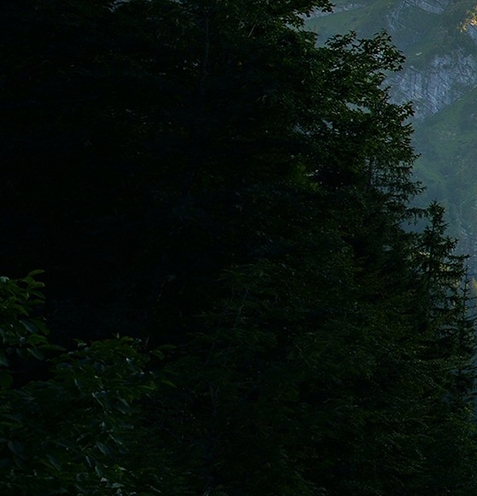 粉象真的可以挣钱么