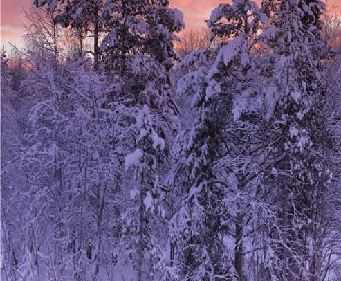 如何开通建行生活卡