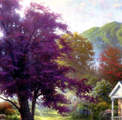 粉象生活邀请码