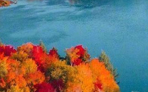 粉象生活股东背景