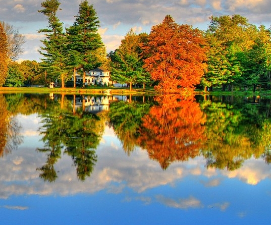 粉象生活怎么赚钱的