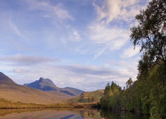 粉象生活怎么赚钱