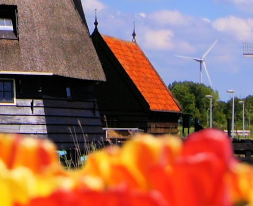 粉象生活下载app