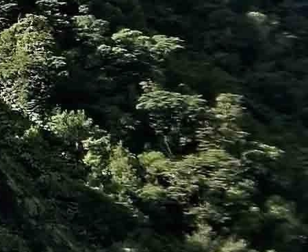 粉象生活可以赚钱吗