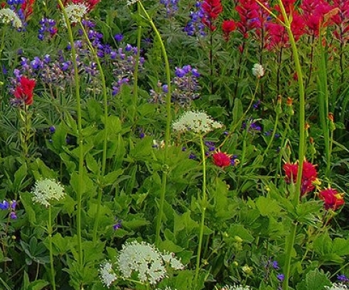 美逛和粉象生活哪个好赚钱