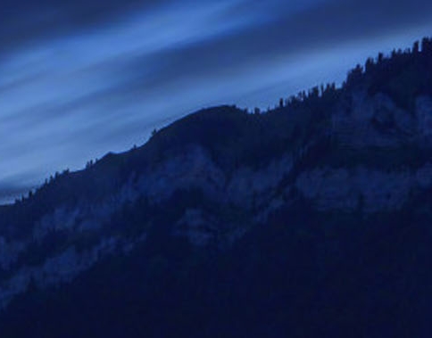 粉象生活里怎么找商品