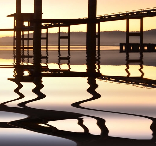 粉象生活分现金活动页面