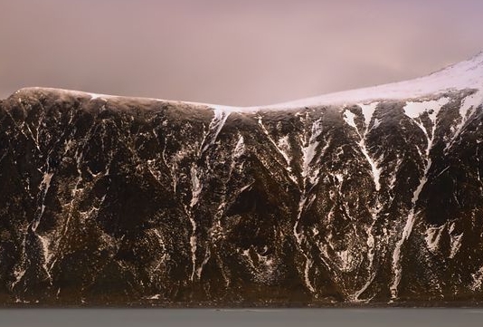 粉象生活要怎么加粉丝