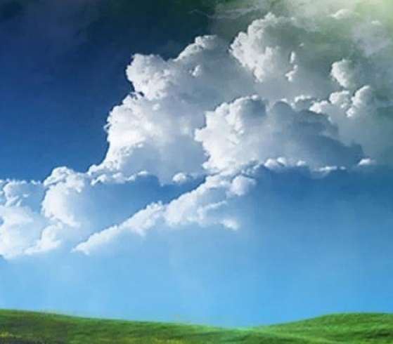 粉象生活返佣是真的吗