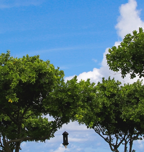 生活中怎么制作氢气