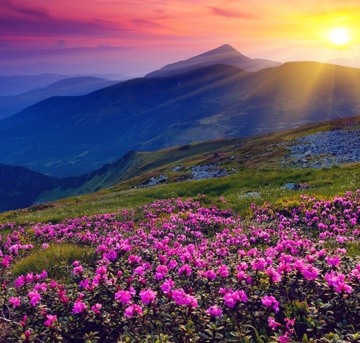 粉象生活自己怎么提现