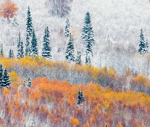 哈尔滨粉象生活加盟