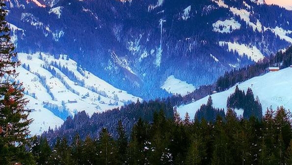 粉象生活如何用微信付款