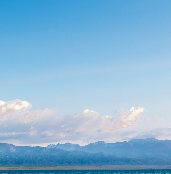 粉象生活是什么?