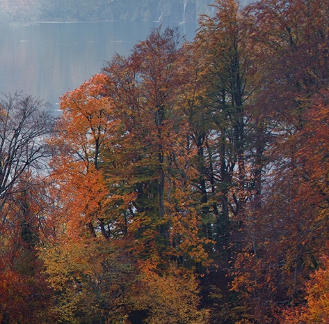 粉象生活邀请码