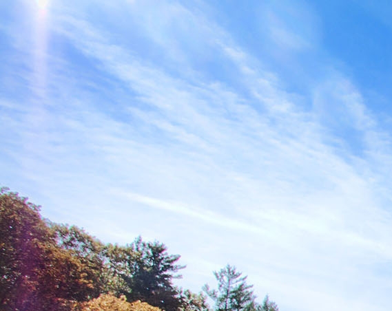 粉象生活怎么做任务