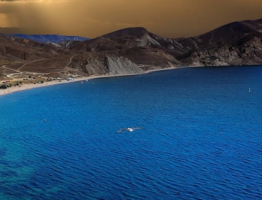 粉象生活邀请码