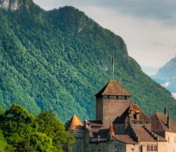 广东粉象生活使用教程