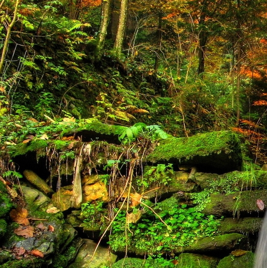 粉象生活新手怎么做