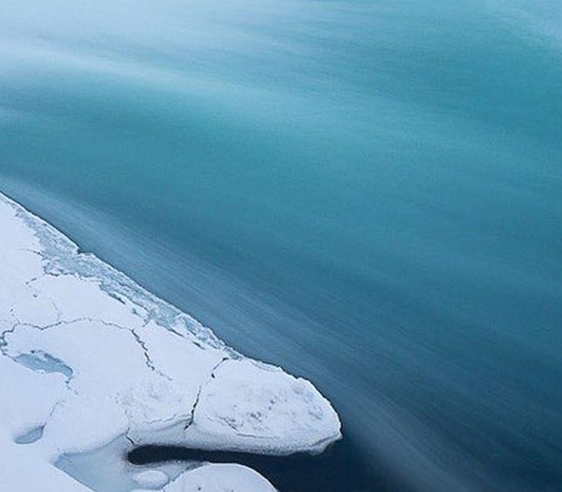 粉象生活模式合法吗