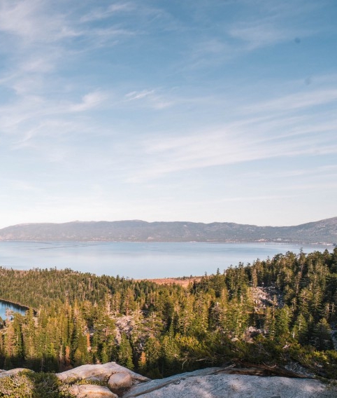 粉象生活邀请码填谁的最好