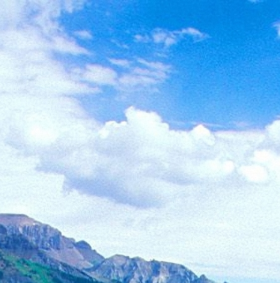 粉象生活代理商如何开