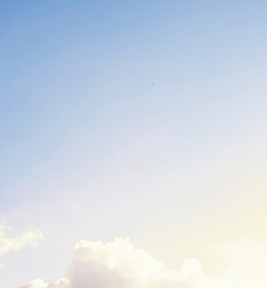 粉象生活赚钱教程