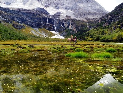 粉象生活要押金吗