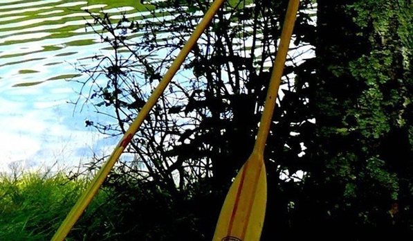 哪个是粉象真正的官网邀请码