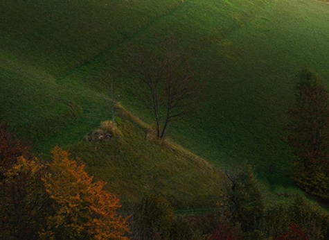 粉象生活的日常