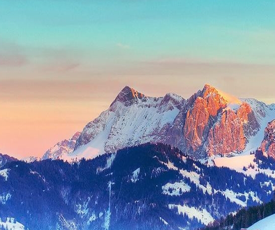 粉象生活分现金