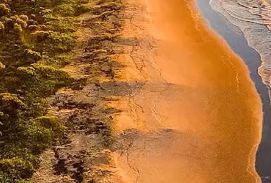 粉象生活可以自己申请吗