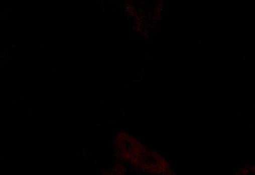 粉象生活返佣是真的吗