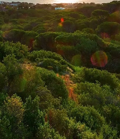 粉象生活开店要求
