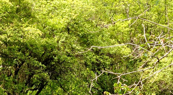 湖南运营粉象生活网站