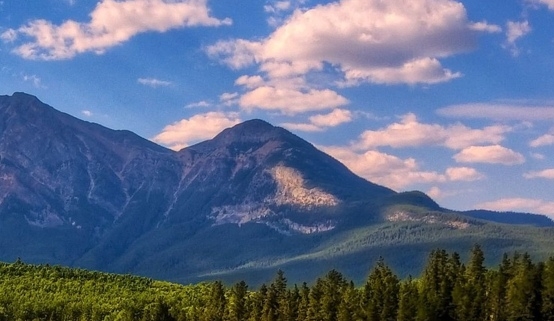 粉象生活粉丝买东西我能赚佣金吗